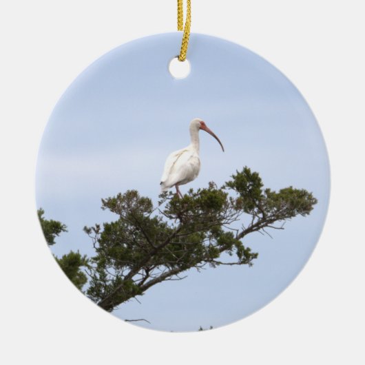 Ibis Bird Ornament (Voorkant)