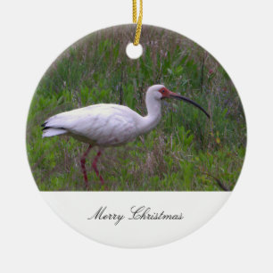 Ibis Bird Photo Ornament