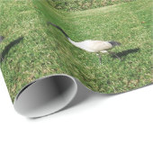 Ibis Cadeaupapier (Rol Hoek)