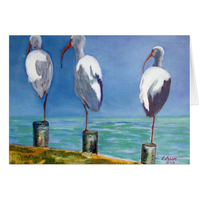 Ibis Design (Voorkant Horizontaal)