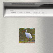 Ibis Drink bij de vijvermagneet Magneet (Insitu (Vaatwasser))