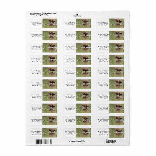 Ibis in de vijvers etiket (Full Sheet)