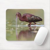 Ibis in de vijvers  muismat (Met muis)