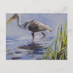 Ibis in Grassy Marsh Briefkaart