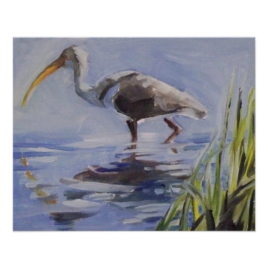 Ibis in Grassy Marsh Poster (Voorkant)
