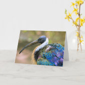 Ibis Kaart (Gele Bloem)