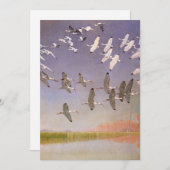 Ibis-kudde over watergebieden, vogels (Voorkant / Achterkant)