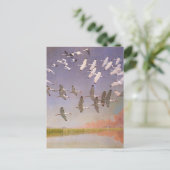 Ibis-kudde over watergebieden,  vogels briefkaart (Staand voorkant)