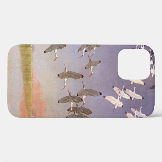 Ibis-kudde over watergebieden, vogels Case-Mate iPhone case (Achterkant (horizontaal))