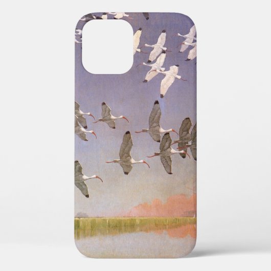 Ibis-kudde over watergebieden, vogels Case-Mate iPhone case (Achterkant)
