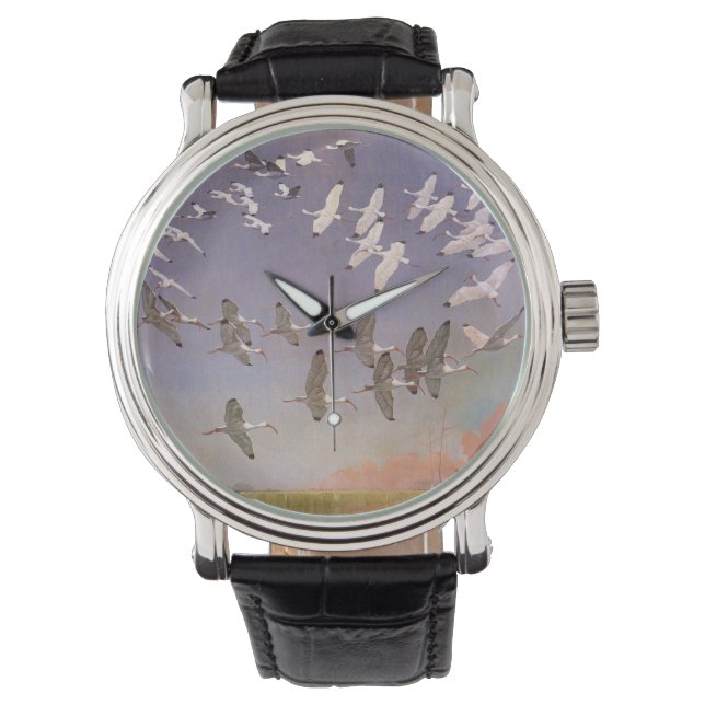 Ibis-kudde over watergebieden,  vogels horloge (Voorkant)