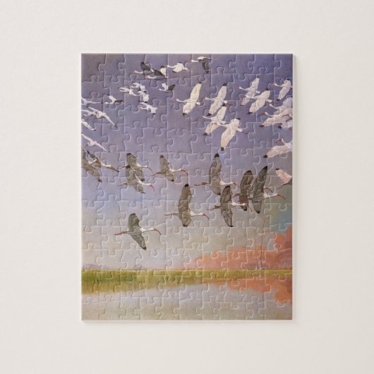 Ibis-kudde over watergebieden,  vogels legpuzzel (Verticaal)