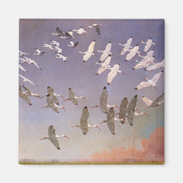 Ibis-kudde over watergebieden,  vogels magneet