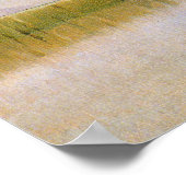 Ibis-kudde over watergebieden,  vogels poster (Hoek)