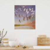 Ibis-kudde over watergebieden,  vogels poster (Keuken)