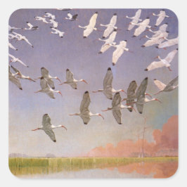 Ibis-kudde over watergebieden,  vogels vierkante sticker