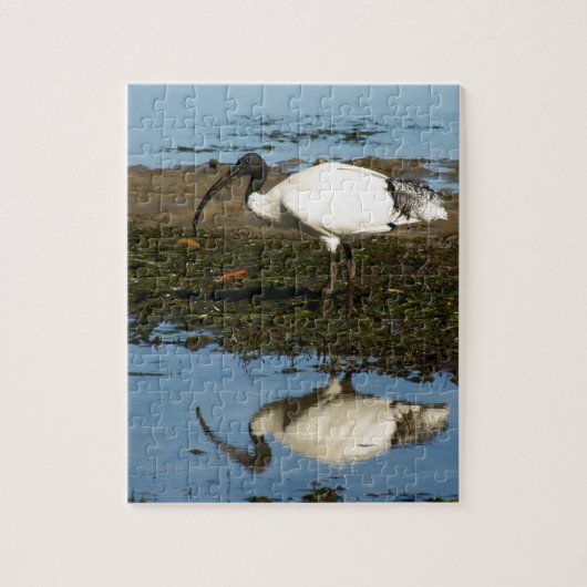 Ibis Legpuzzel (Verticaal)
