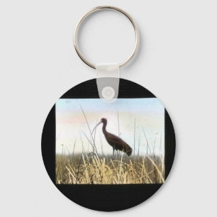 Ibis met witte gezicht sleutelhanger