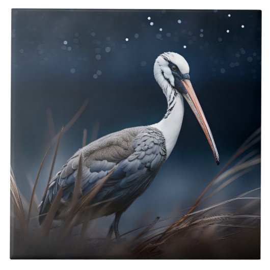 Ibis om middernacht tegeltje (Voorkant)