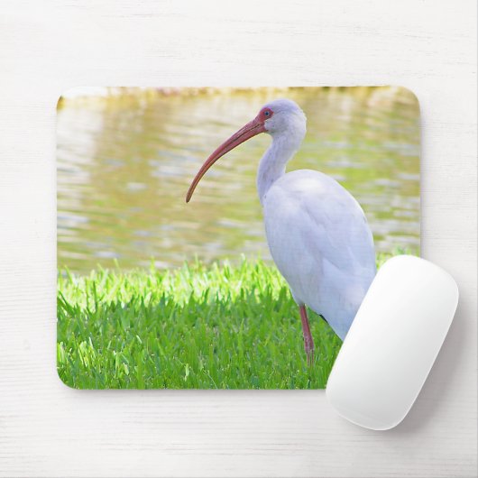 Ibis op foto van één been muismat (Met muis)