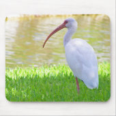 Ibis op foto van één been muismat (Voorkant)
