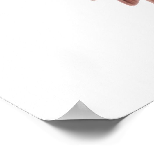 Ibis spreidende vleugels poster (Hoek)