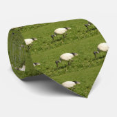 ibis stropdas (Opgerold)