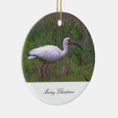 Ibis Vogel Foto Ornament (Rechts)
