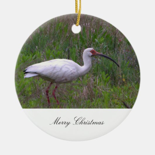 Ibis Vogel Foto Ornament (Voorkant)