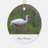 Ibis Vogel Foto Ornament (Links)