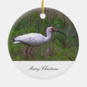 Ibis Vogel Foto Ornament (Achterkant)