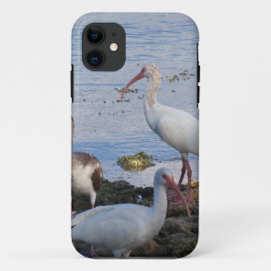 Ibis vogels op de kust van Florida Bay Case-Mate iPhone Case