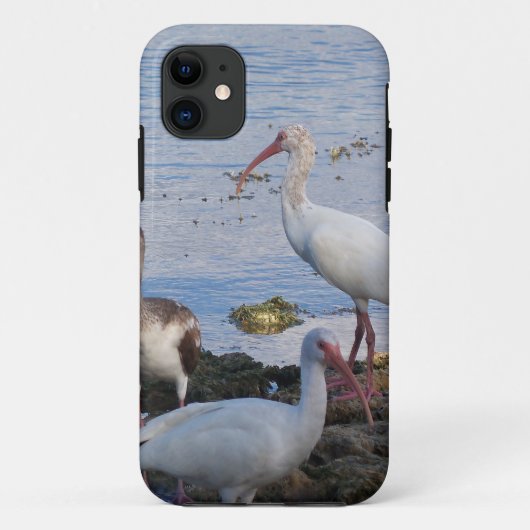 Ibis vogels op de kust van Florida Bay Case-Mate iPhone Case (Achterkant)