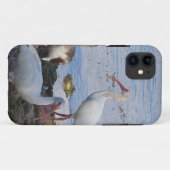 Ibis vogels op de kust van Florida Bay Case-Mate iPhone Case (Achterkant (horizontaal))