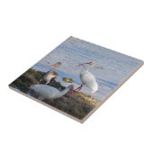 Ibis vogels op de kust van Florida Bay Tegeltje (Zijkant)