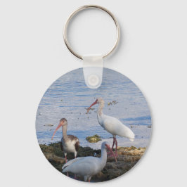 Ibis vogels op de oever van Florida Bay Sleutelhanger