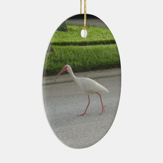 Ibis Walking Ornament (Rechts)