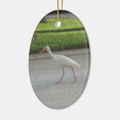 Ibis Walking Ornament (Links)