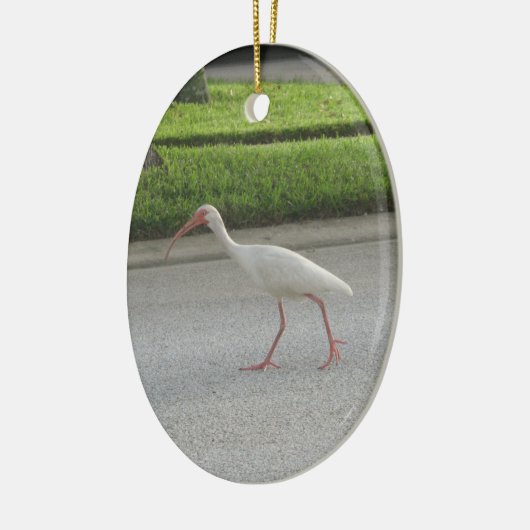 Ibis Walking Ornament (Links)