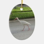 Ibis Walking Ornament (Voorkant)