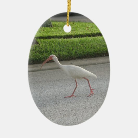 Ibis Walking Ornament (Voorkant)