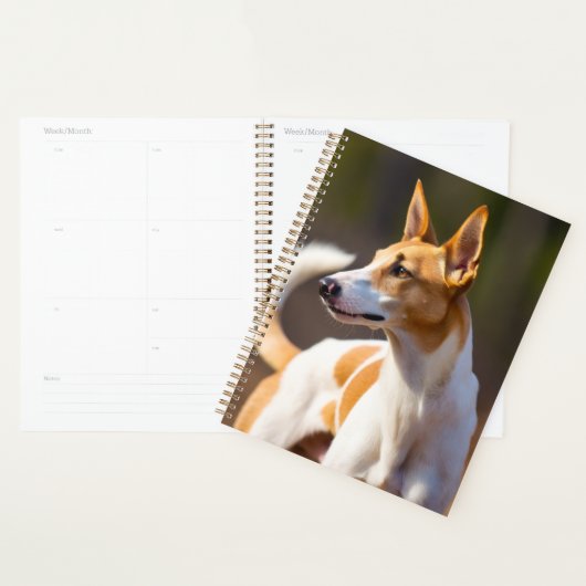 Ibiza Hound Planner (Display)