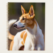 Ibiza Hound Planner (Voorkant)