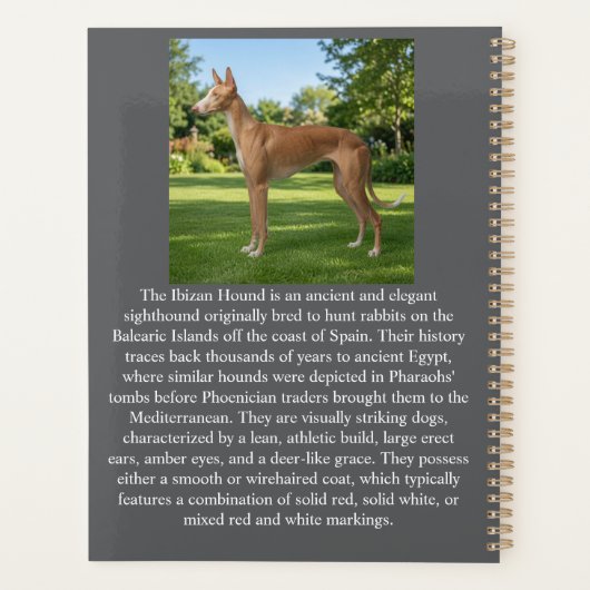 Ibiza Hound Planner (Achterkant)