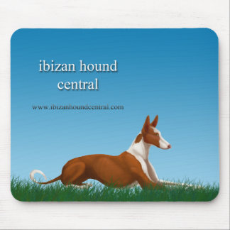 Ibizan Hound Central Muismat