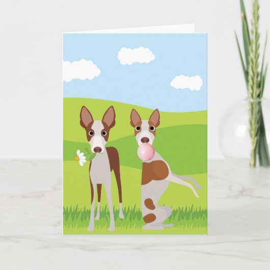 Ibizan Hound Dog Animal Bubble Gum Kaart (Voorkant)