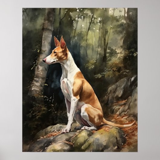 Ibizan Hound Dog Art Print Poster (Voorkant)