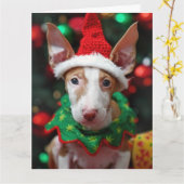 Ibizan Hound Elf Puppy Kerst Kaart (Gele Bloem)