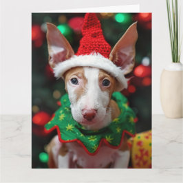 Ibizan Hound Elf Puppy Kerst Kaart