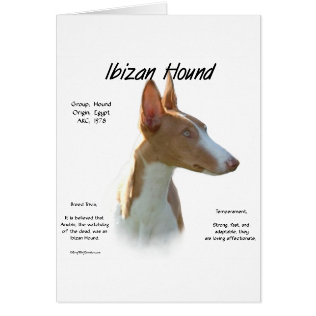 Ibizan Hound History Design (Voorkant)